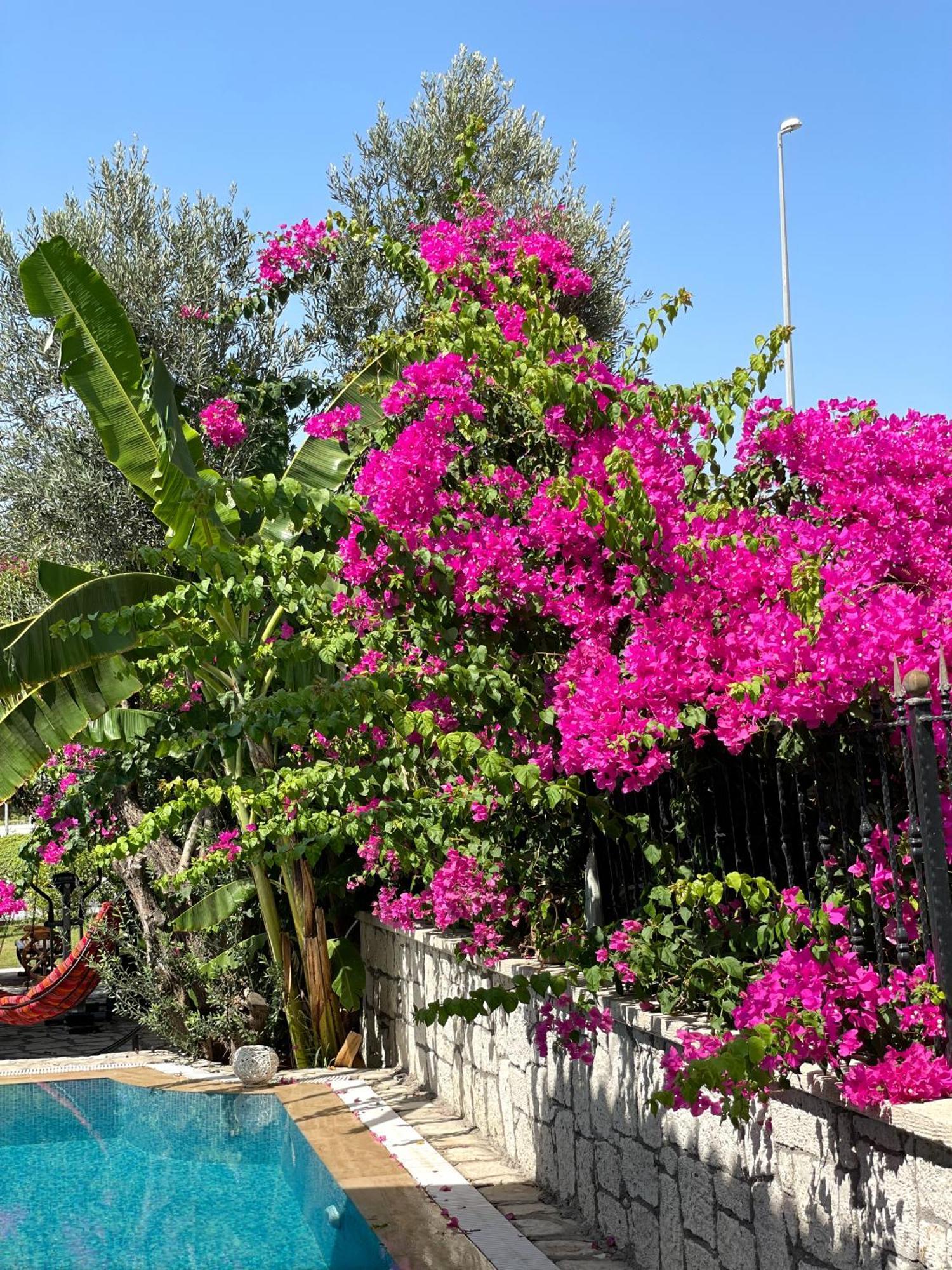 Ata Boutique Hotel Cesme Exterior photo