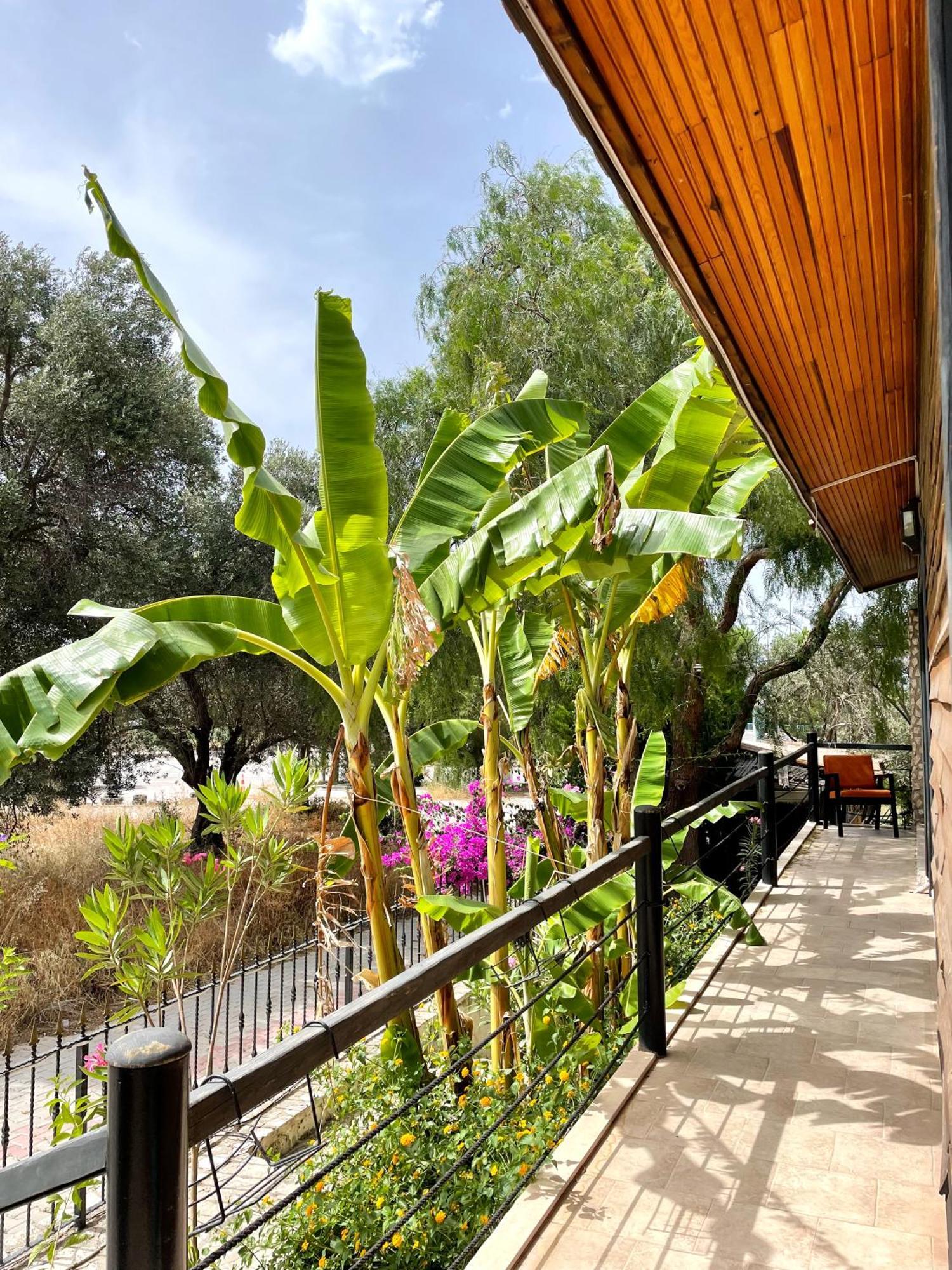 Ata Boutique Hotel Cesme Exterior photo